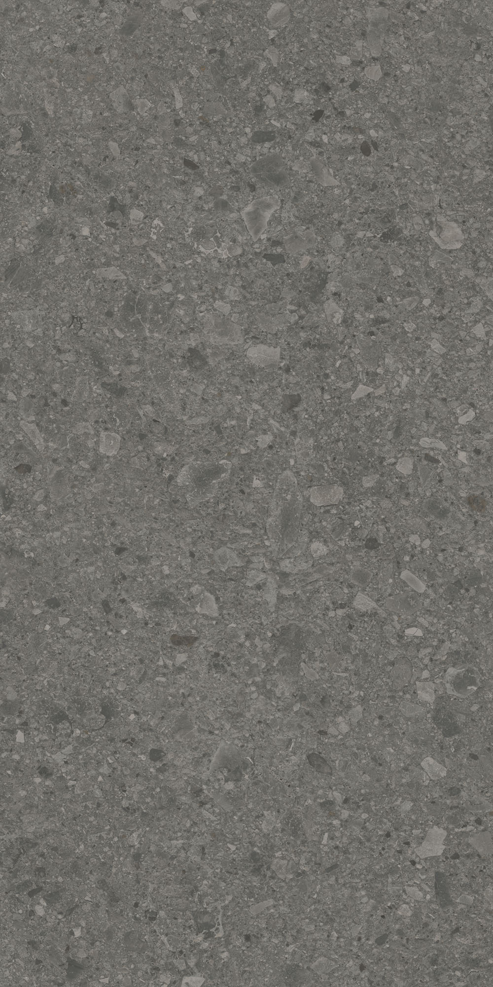 DD591600R На пол Чеппо ди Гре Антрацит матовый обрезной 119.5x238.5x1.1 - фото 5