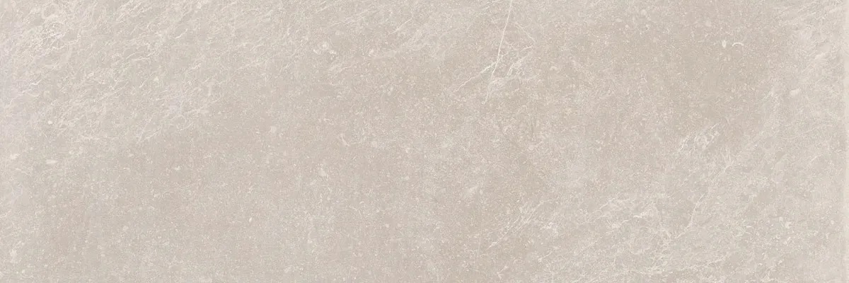 R0001633 На стену Bleuemix Taupe 40x120 - фото 9