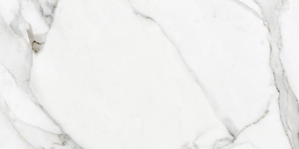 A16521 На пол Mont Blanc Белый 29.7x59.8 - фото 5