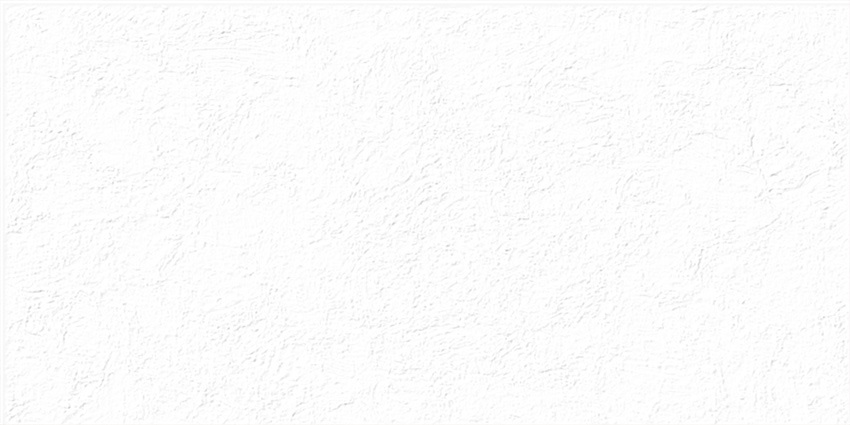 TWU2550MLN10 На стену Miloni 10 рельефная 249x500x8