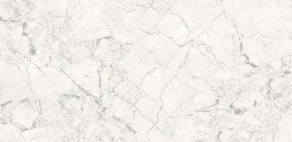 На пол Premium Marble Breccia Silver Carving 60x120 - фото 2