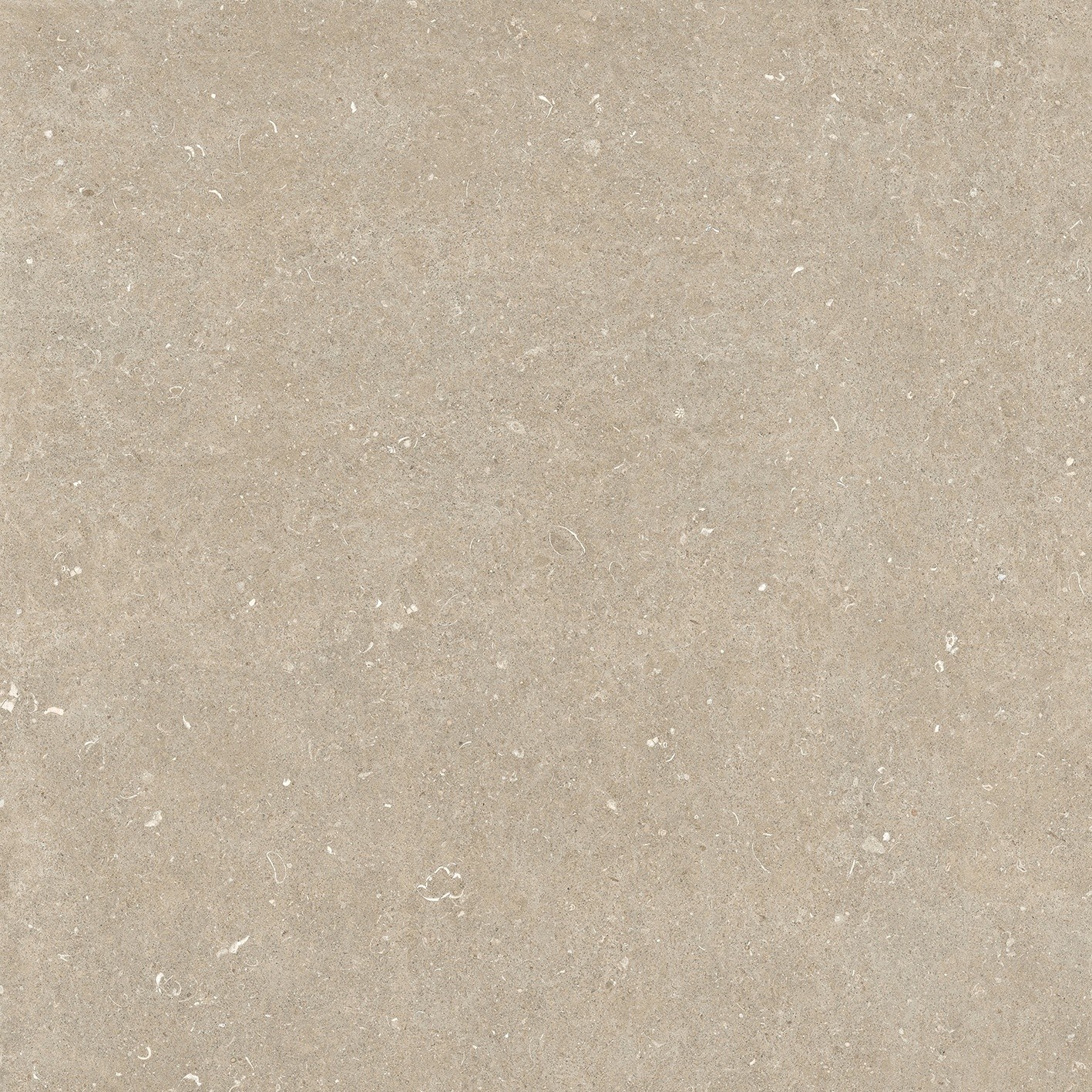 785579 На пол Rinascenza Arena Conchiglia Matte 6mm 120x120