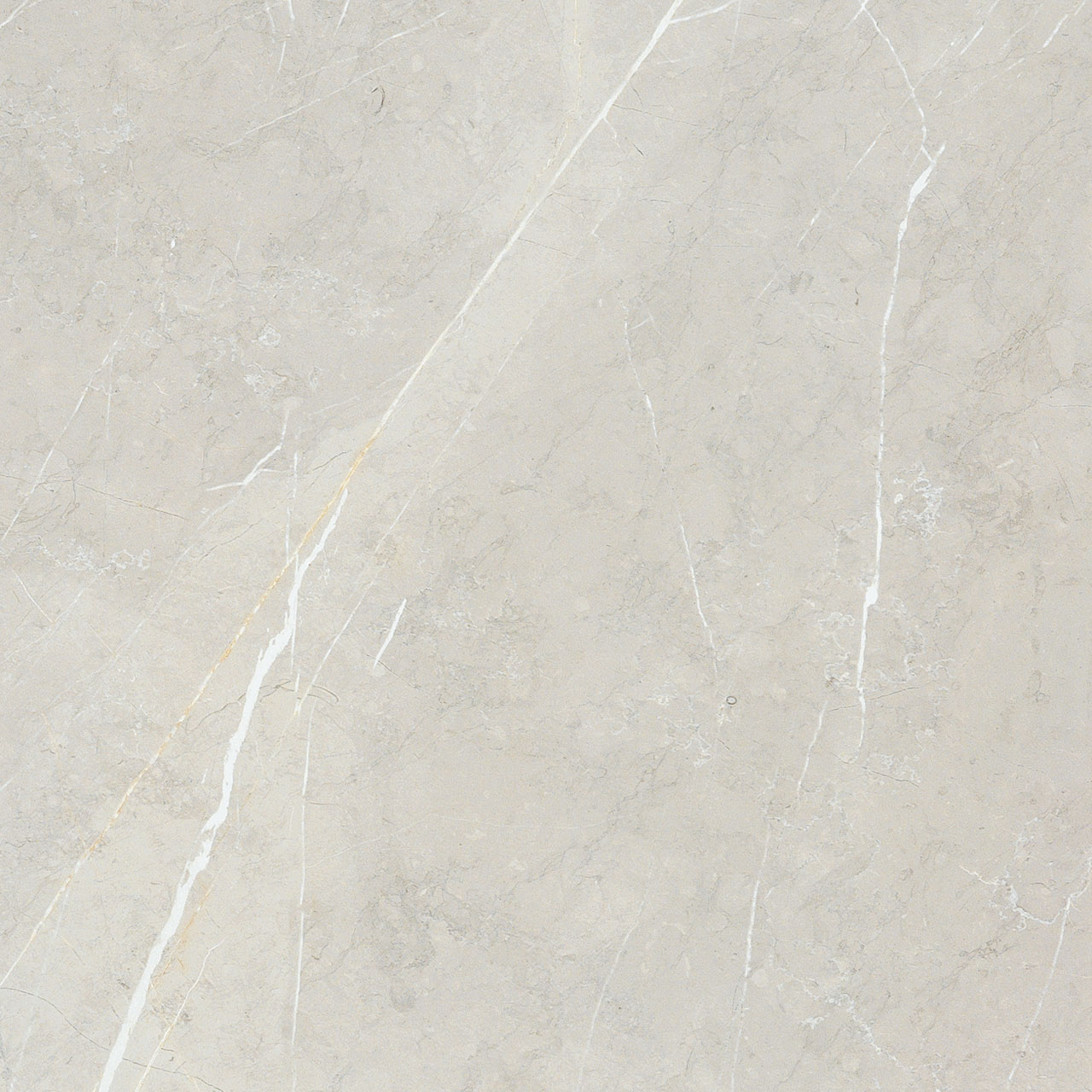 BB6NTT9101P На пол Bright And Shiny BB6NTT9101P - фото 10