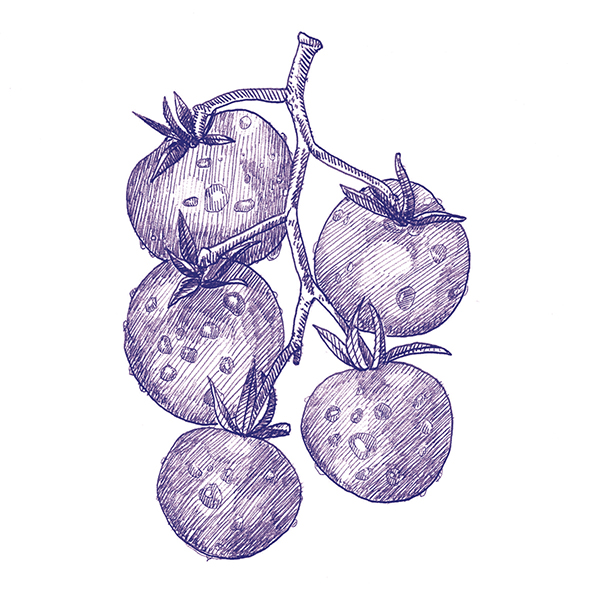 4101303 Декор Stories Eddie Matte 10x10 - фото 36