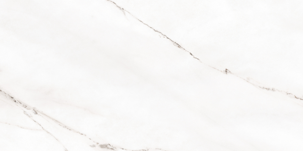 A17783 На пол Pamir Светло-серый ректификат 44.8х89.8 - фото 4