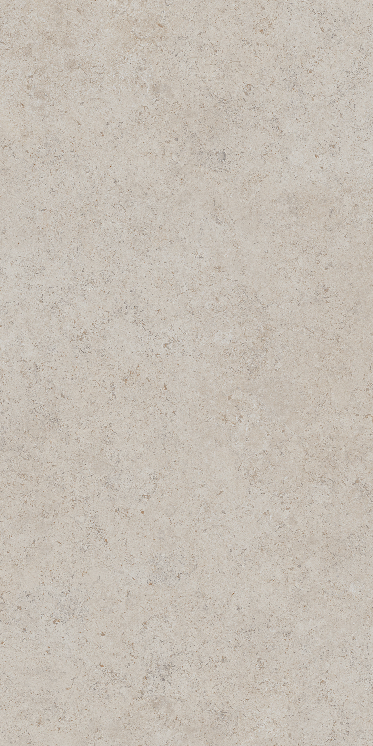 DD590400R На пол Про Лаймстоун Ат Бежевый Натуральный Обрезной 119.5х238.5 - фото 4