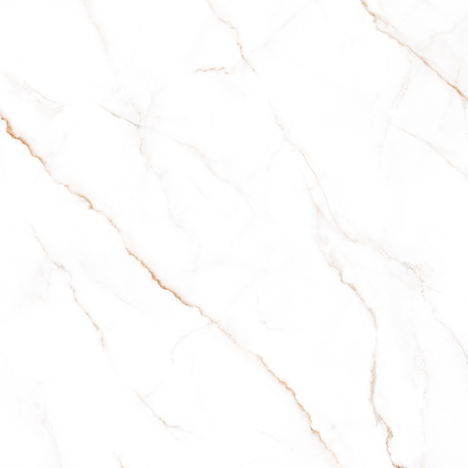 GFU04NCL04R На пол Neo Calacatta Матовый 04R 600x600x9.5 - фото 3