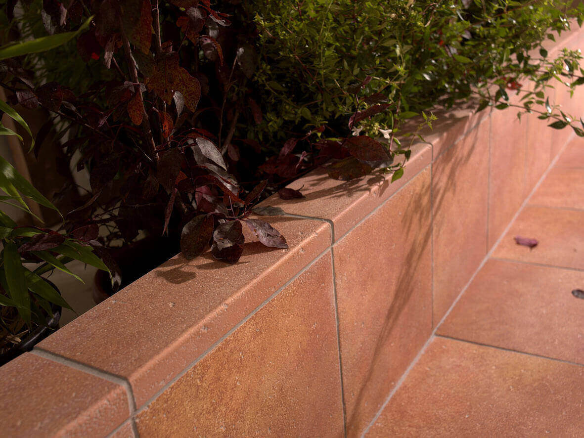 Exagres Vega Roja - фото 3