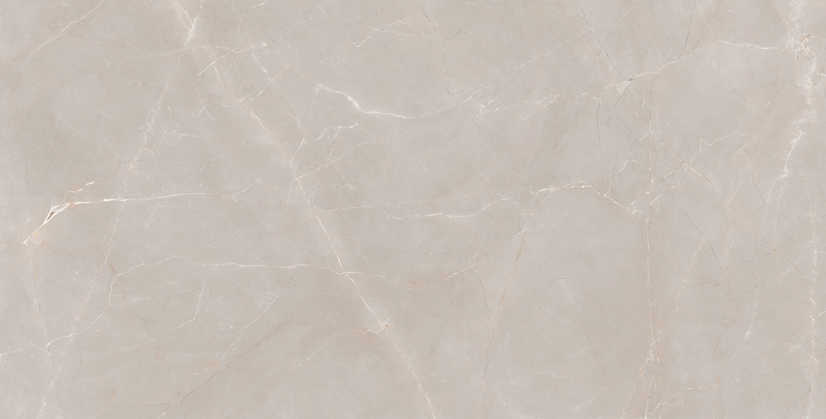 NARMANILGP120 На пол Natural Armani Light Grey Polish 60x120 - фото 3