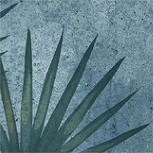 TR3333 На пол Natural Series Tropic 33х33