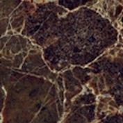 Декоративная вставка Daino Natural Marmol Pulido