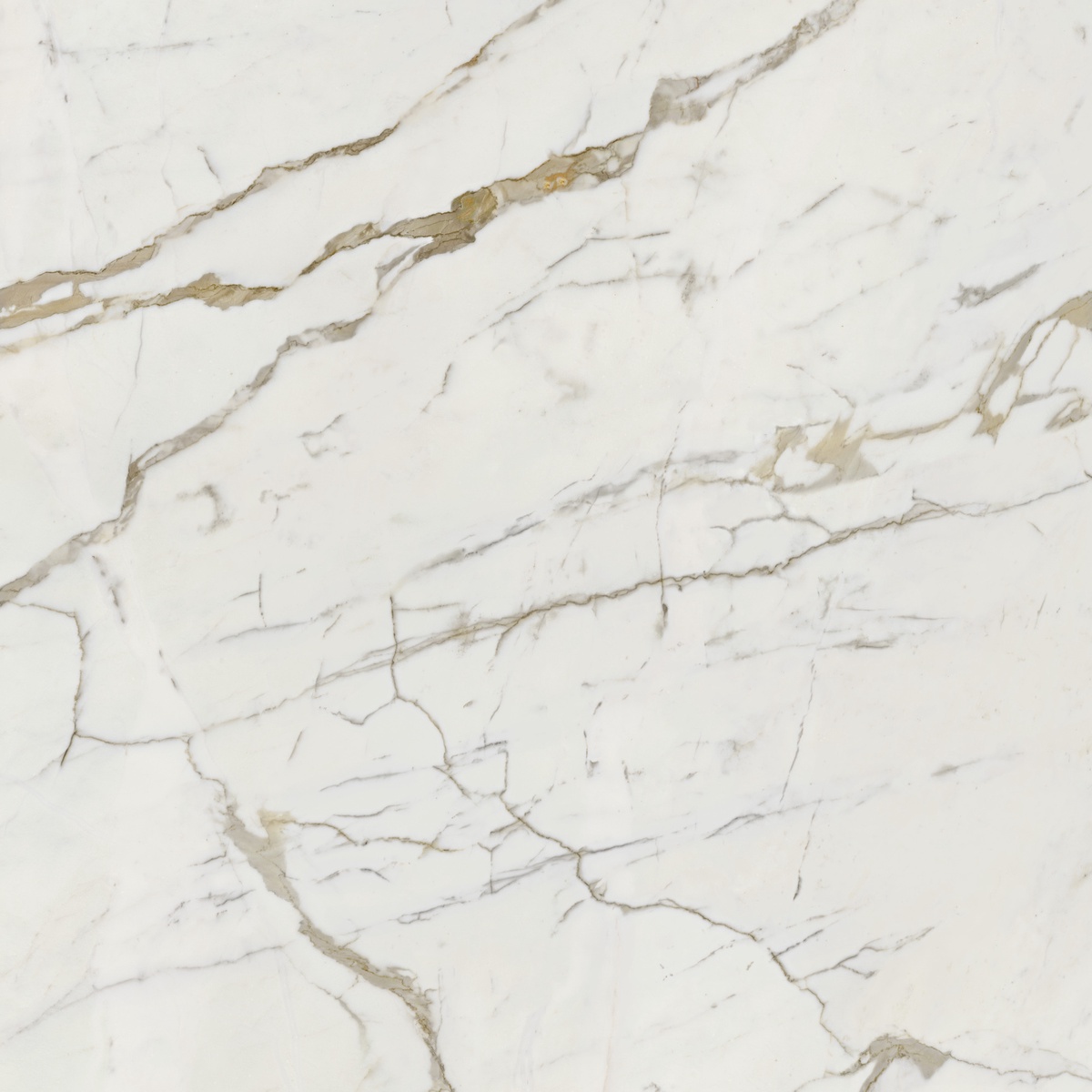 VSM202 На пол Vision Calacatta Oro 120x120 - фото 2