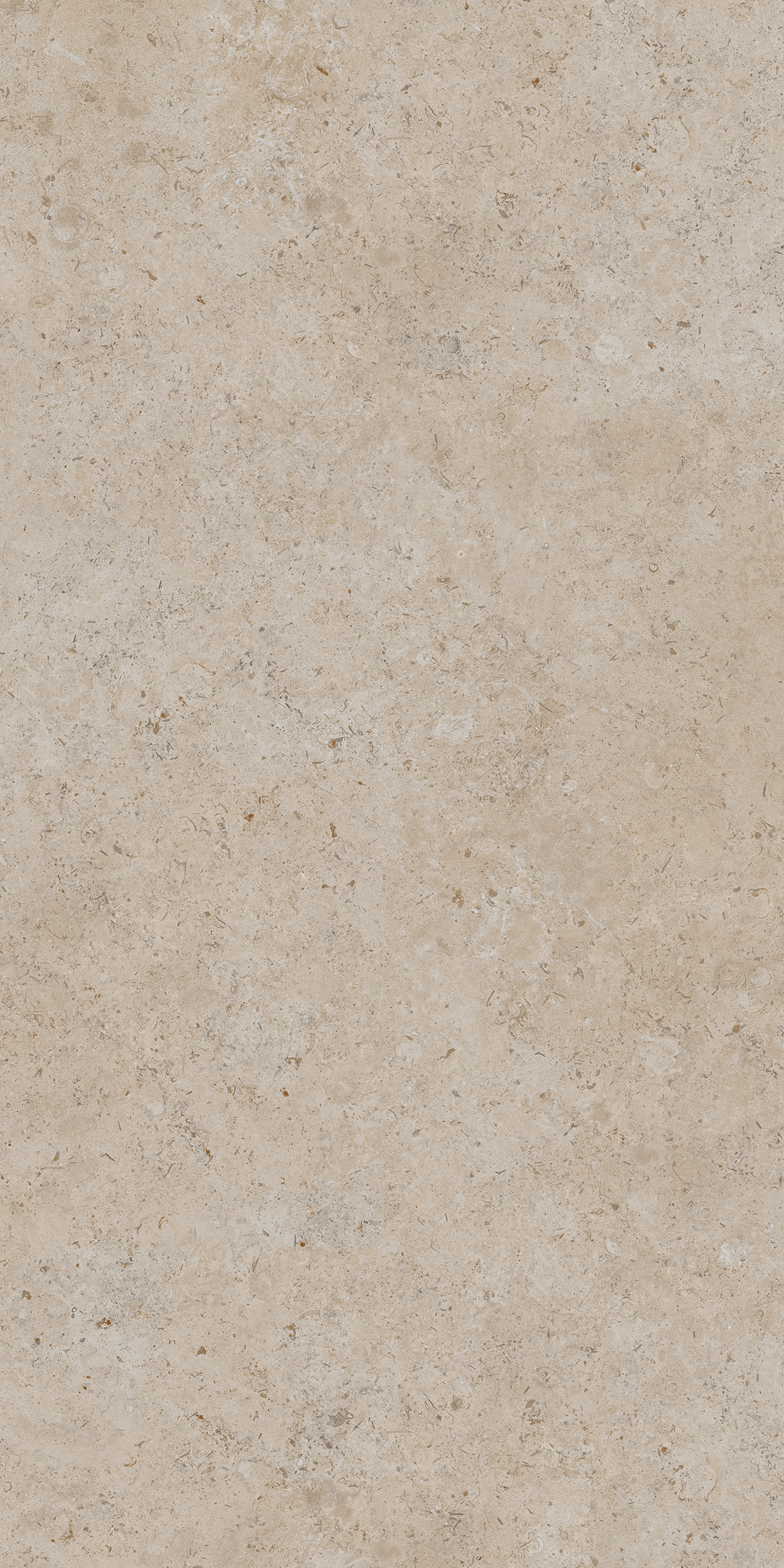 DD590500R На пол Про Лаймстоун Ат Бежевый Темный Натуральный Обрезной 119.5х238.5 - фото 6