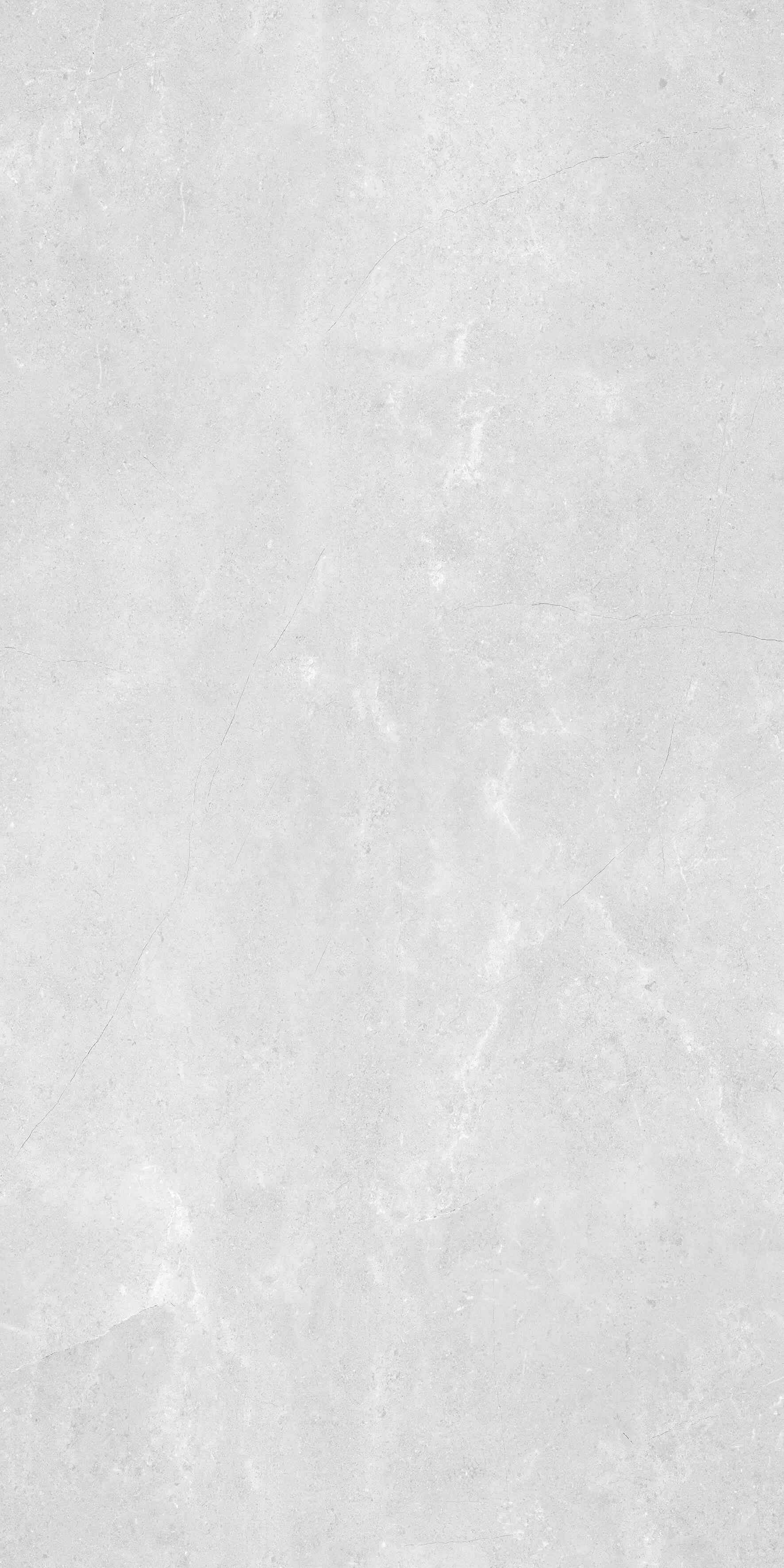 1205 На пол Stone Porto White Matt 120x60 - фото 4