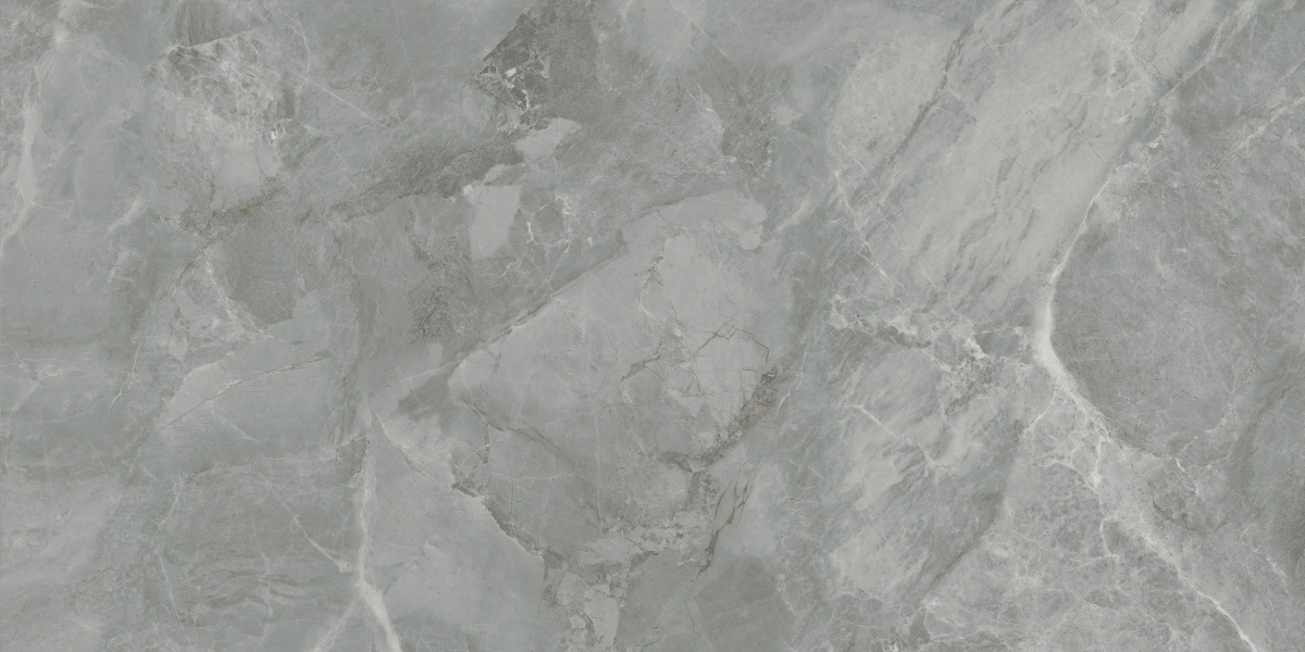 CR6012G0411R На пол Regnum Grigio серый матовый 59.5х119.1 - фото 6