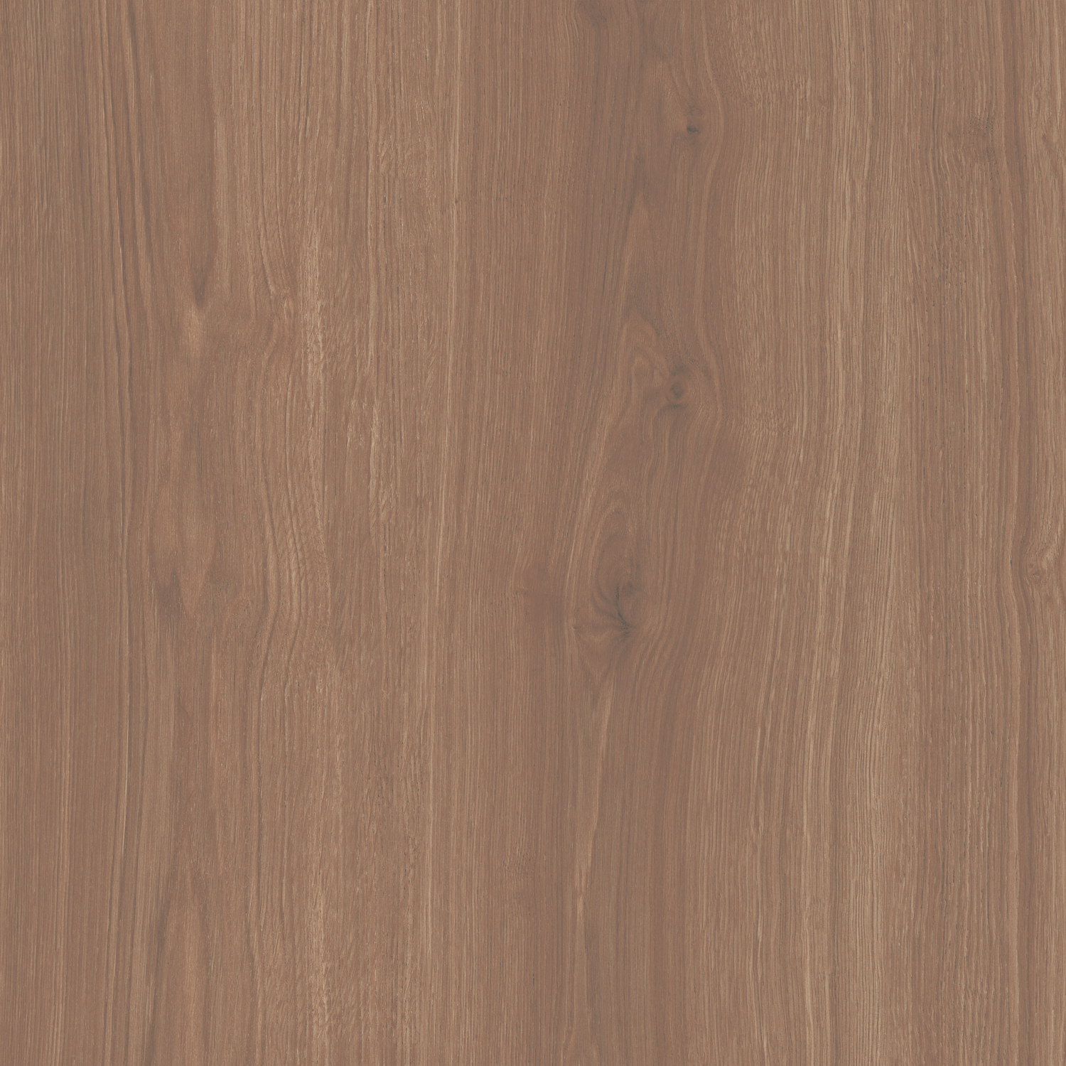 SG644020R На пол Альберони Коричневый матовый обрезной 60x60x0.9 - фото 4