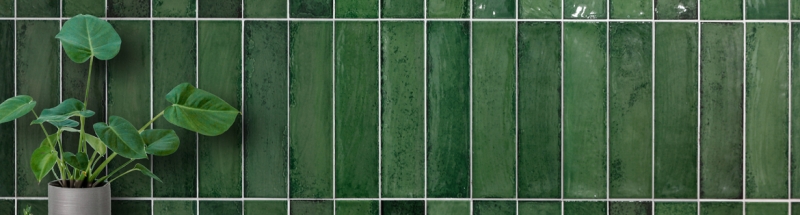 Monopole Martinica - фото 6