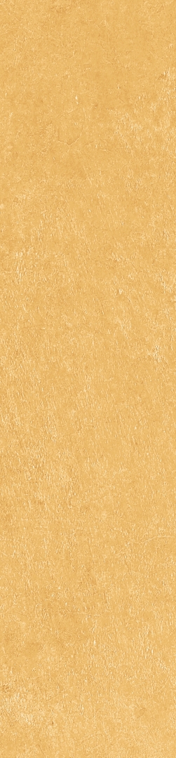 На стену Spectra Scs Mustard Glossy 5.8х25