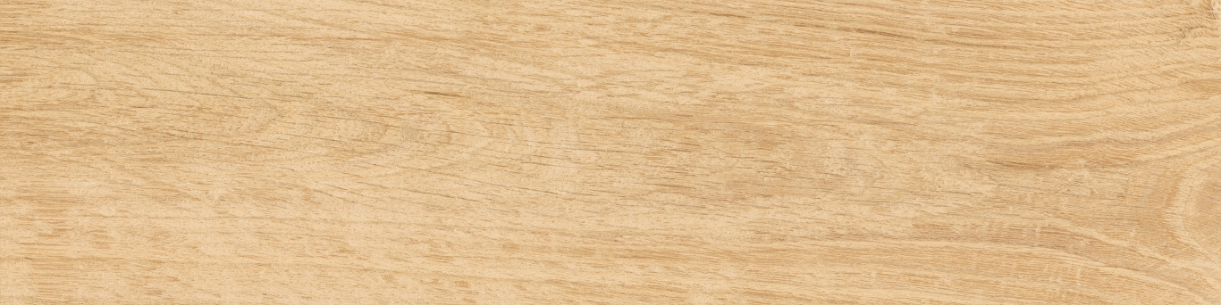 KM1040G0011N На пол Аргания Бежевый матовый 9.9x40.2x0.8 - фото 3