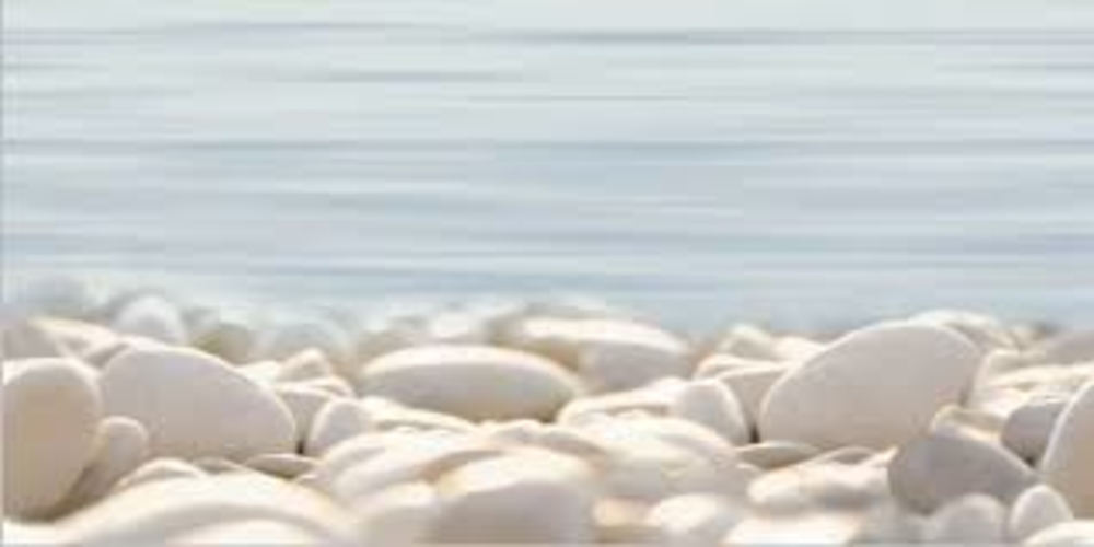 DWU09DLM604 Декор Del mare Камешки 3