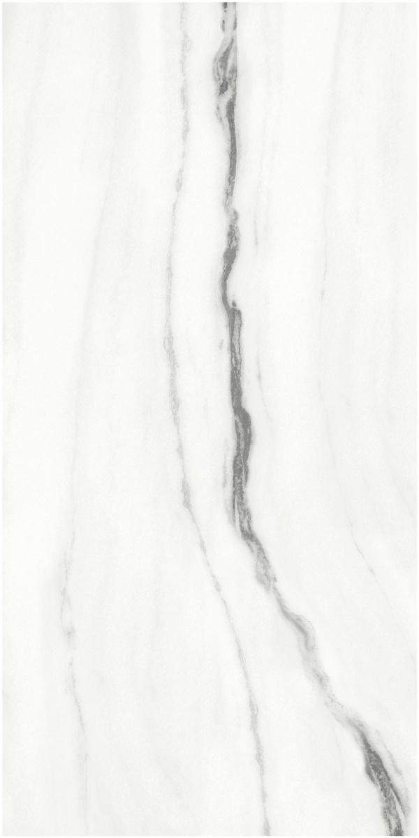 F918G10101 На пол Керамогранит 90x180 Panda White glossy 90x180