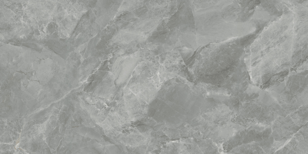 CR6012G0411R На пол Regnum Grigio серый матовый 59.5х119.1