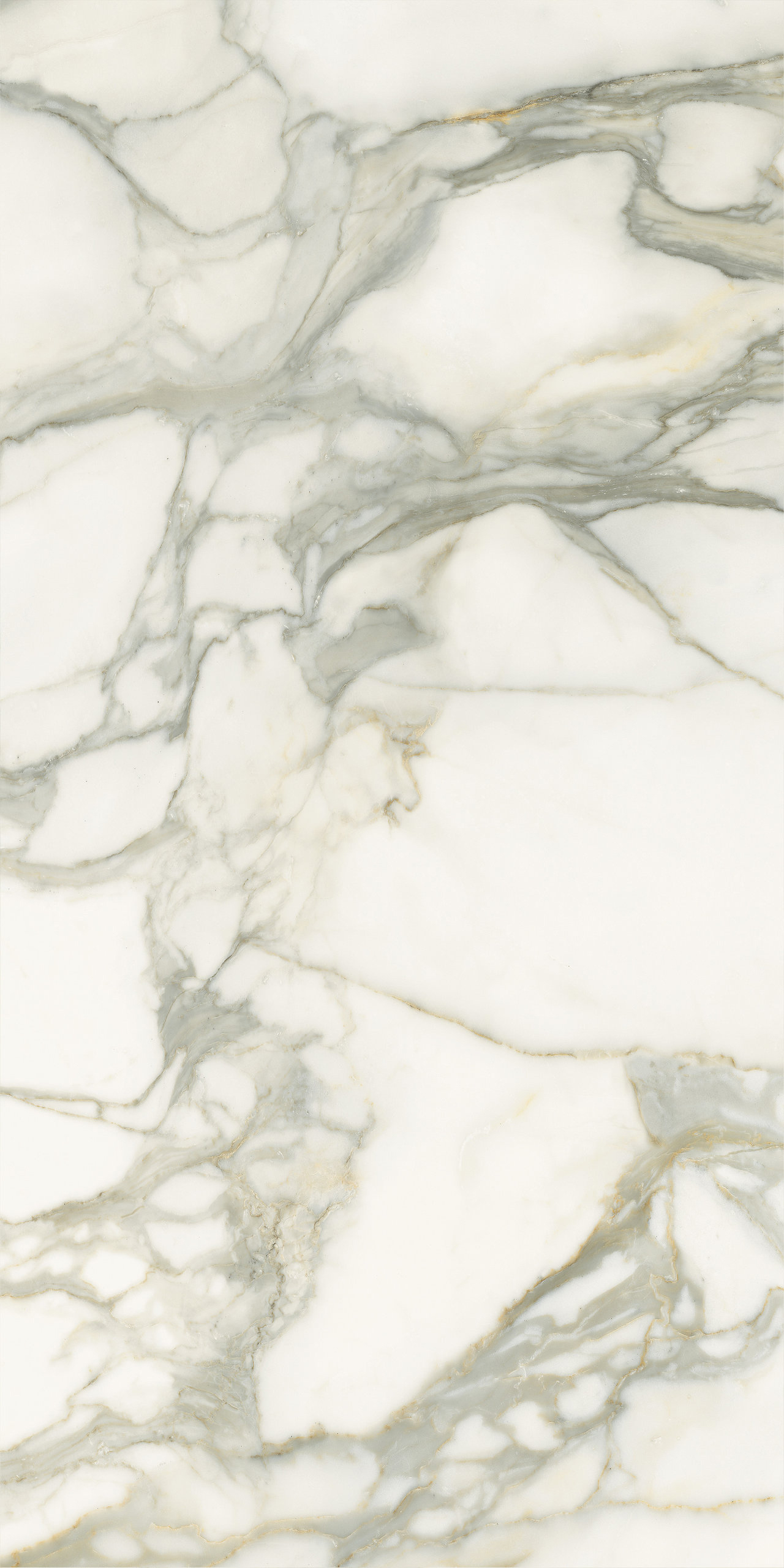 P628365 На пол Select Calacatta Oro Natural 8mm 60x120 - фото 4