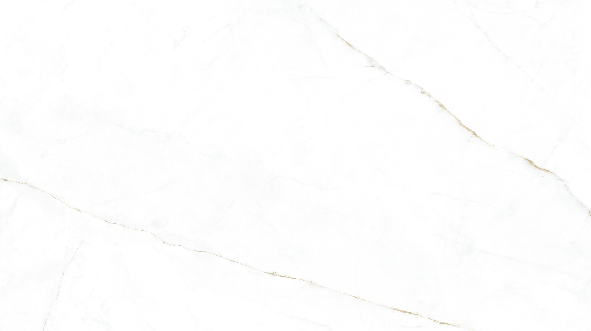 31745 На пол Museum Dual White/100X180/P 100х180 - фото 3