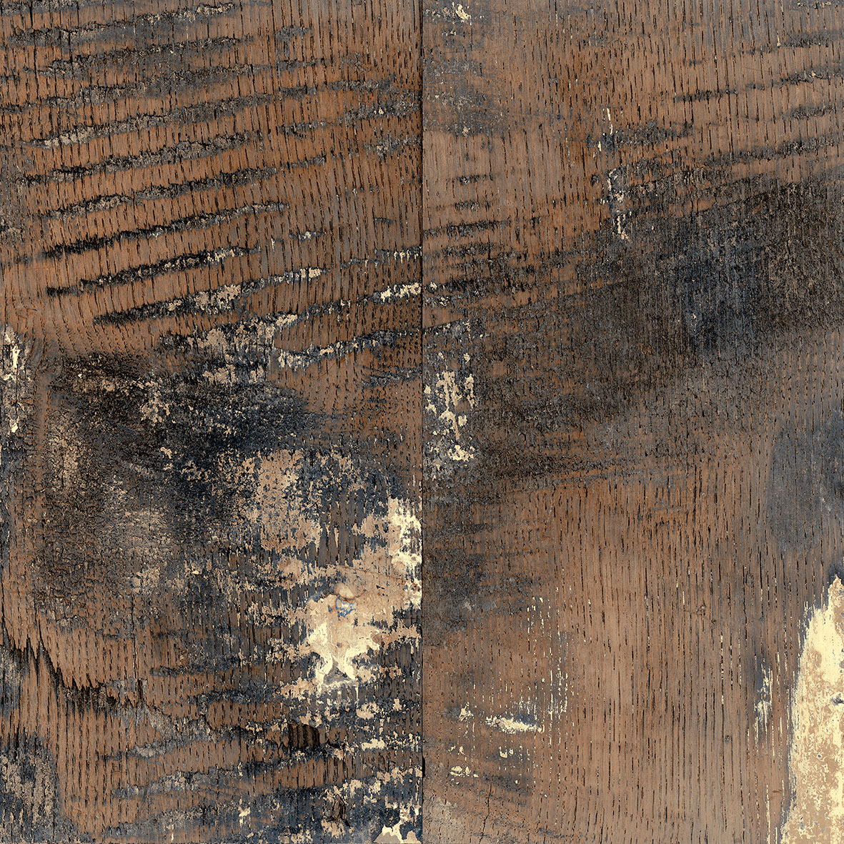 18152 На пол Fs Segarra Fs Seattle - фото 3