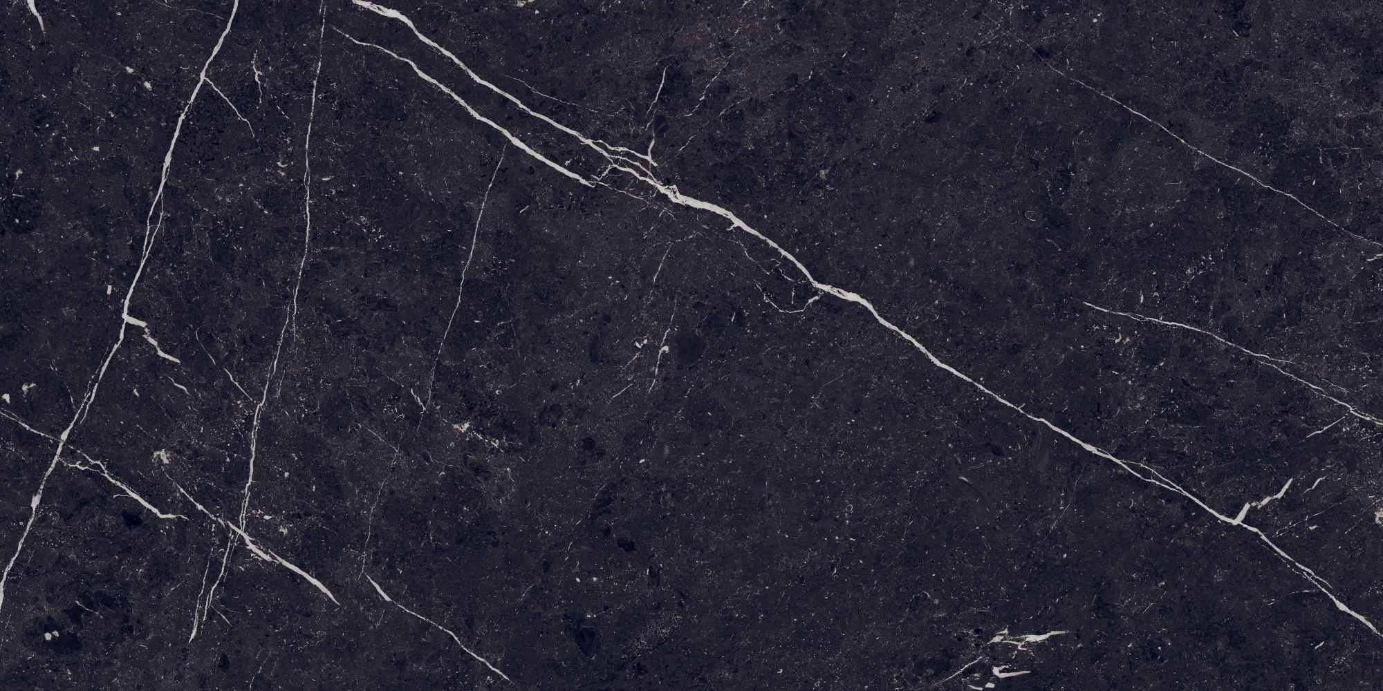 7930138702589 На пол Pietra Negro High Glossy 60x120 - фото 3