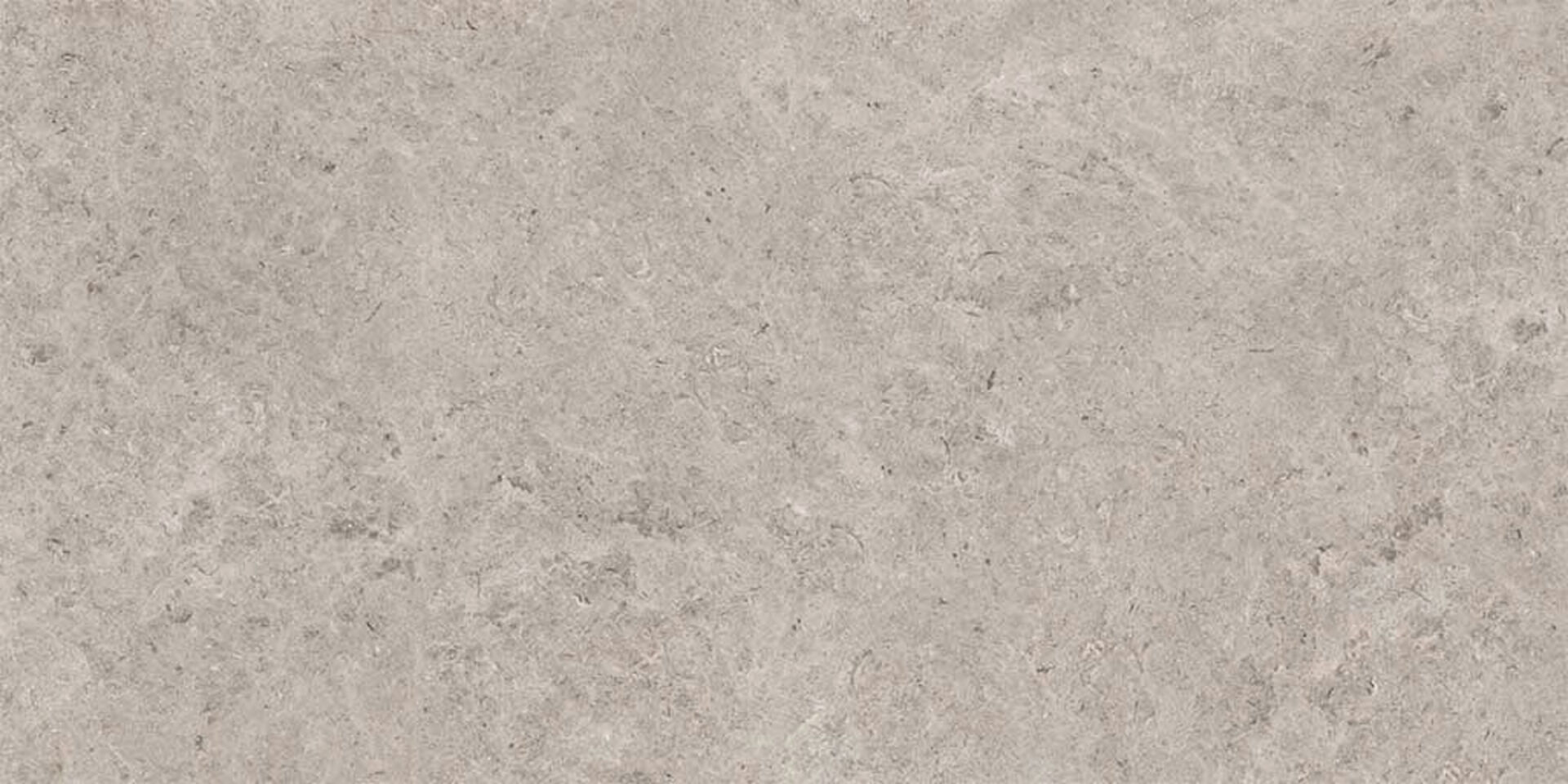 На пол Seashell Natural R10 Carving 60x120 - фото 2