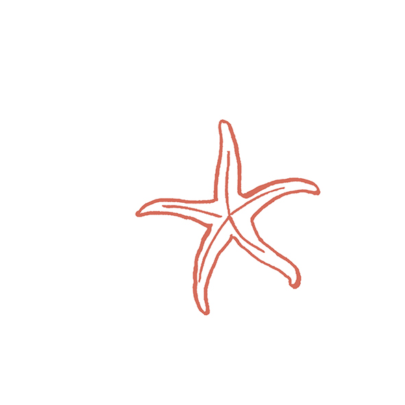 4101301 Декор Stories Costiera Matte 10x10 - фото 46