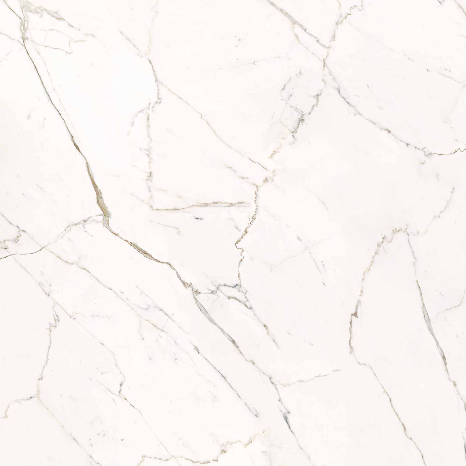 59A2 На пол Elements Lux Calacatta Statuarietto Lappato RT 120x120 - фото 11