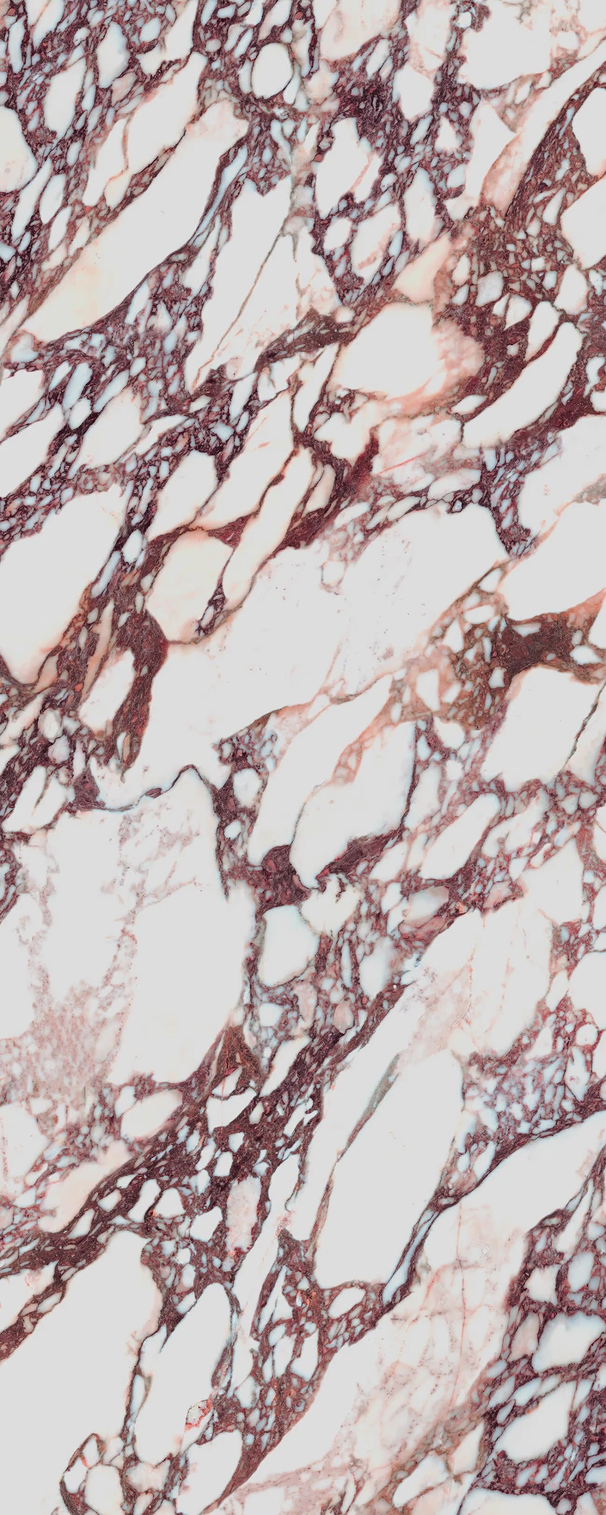 LAMF012554 На пол I Naturali Marmi Calacatta Viola Naturale 5 1200x3000