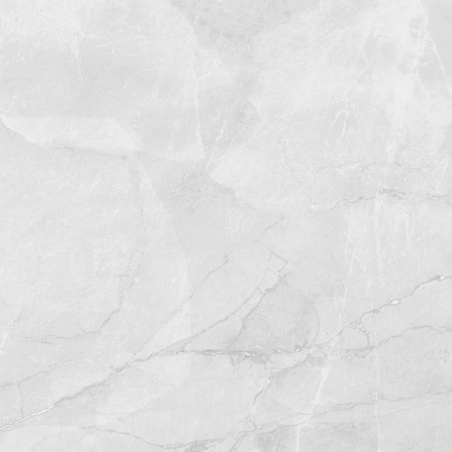 LP6060G0241R На пол Berna Silver светло-серый матовый 59.5х59.5 - фото 14