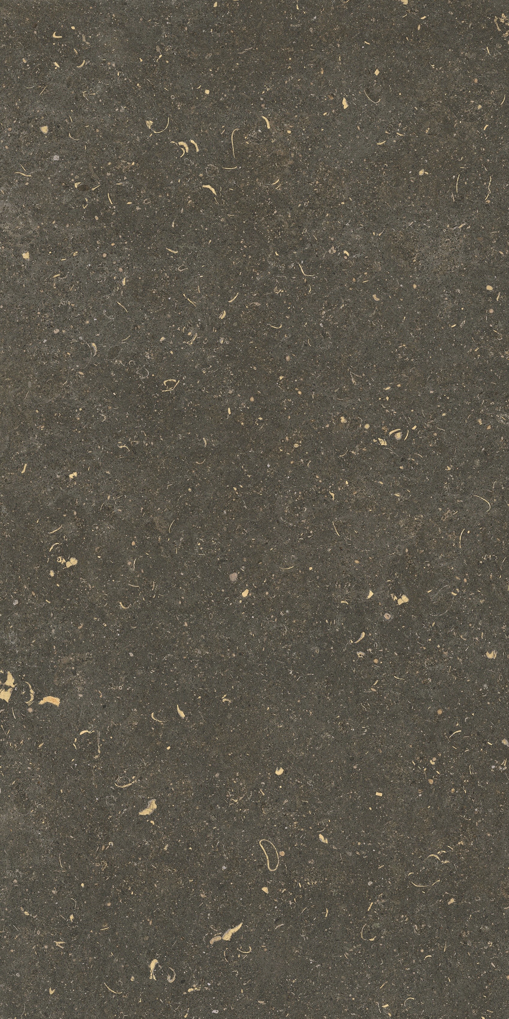 785511 На пол Rinascenza Arena Platino Grip 20mm 60x120 - фото 6