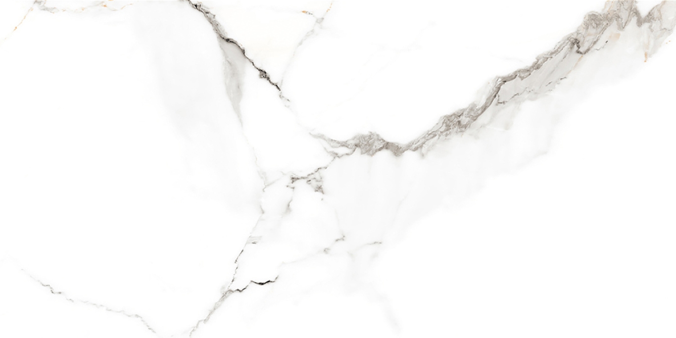 PRO 1196G На пол Colonial Bianco Gloss 1200x600 - фото 8