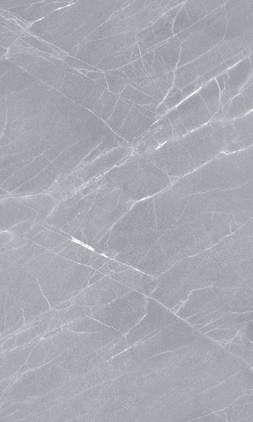 010100000350 На стену Elegance Grey wall 02 - фото 3