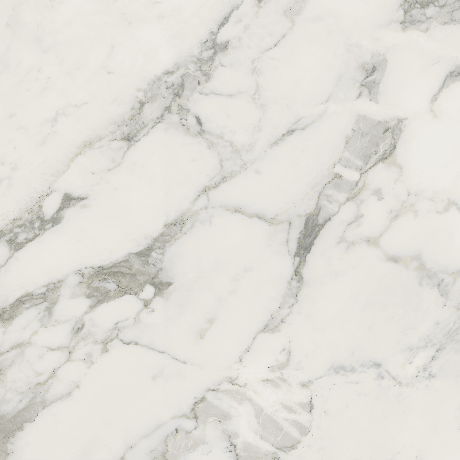 610010002749 На пол Michelangelo Колд 60x60 - фото 4