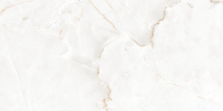 AMBROSGP120 На пол Glossy Ambros Gris Polish 60x120 - фото 3