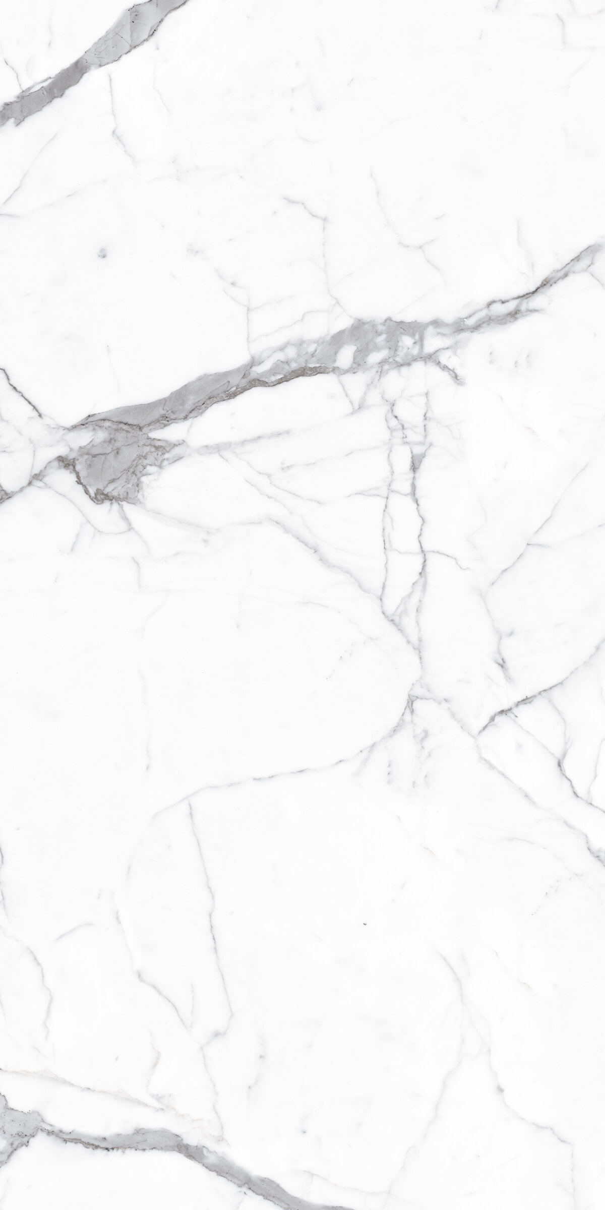 Напольный Marble Marble Alps Statuario 120x240