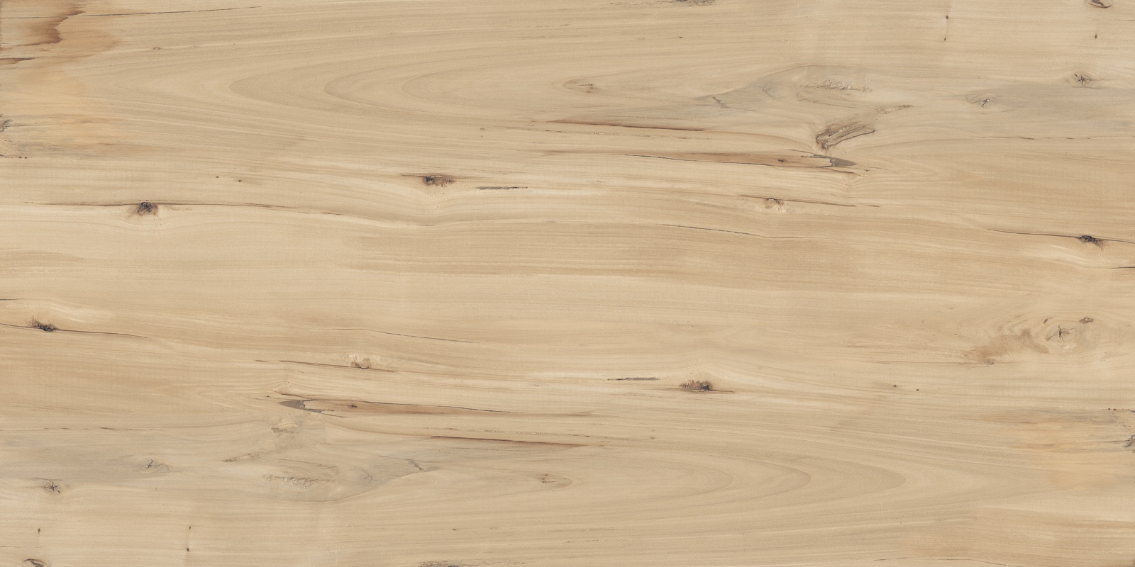 FVL4511M На пол Forest Sweet Home Matt 60x120 - фото 4