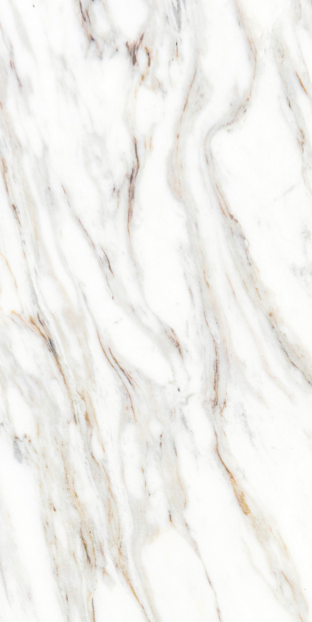 5 GR 0041 На стену Галера 0041 25x50 - фото 6