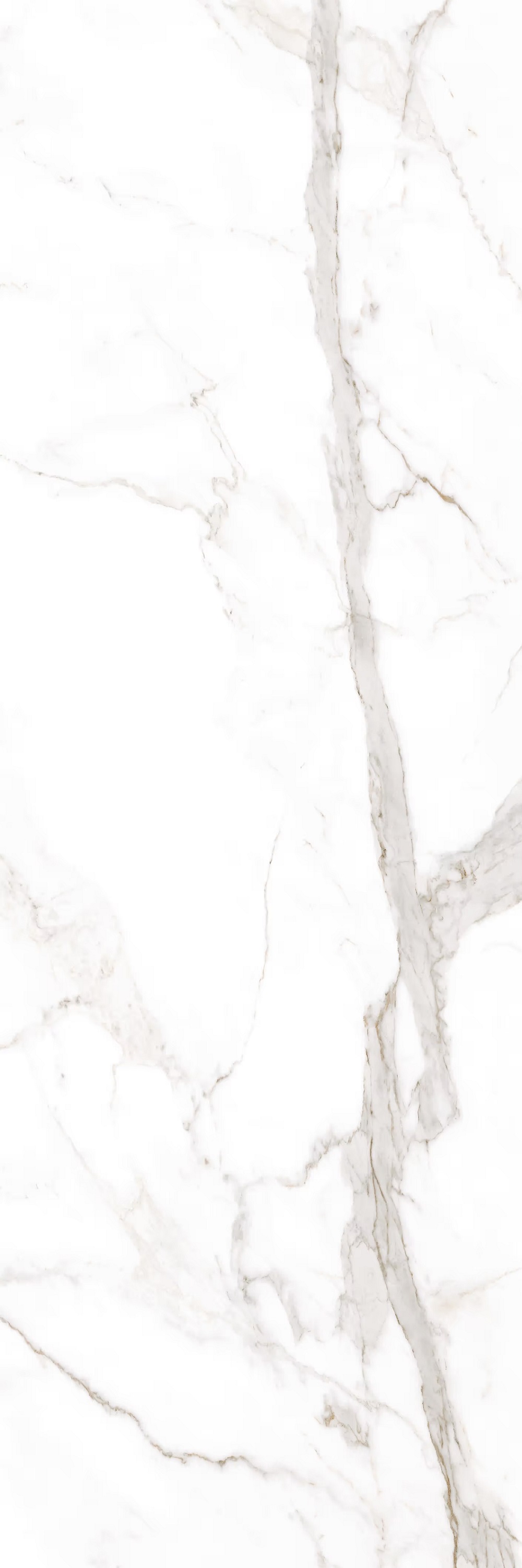 LAMF006093 На пол I Naturali Marmi Calacatta Oro Venato 5 1000x3000