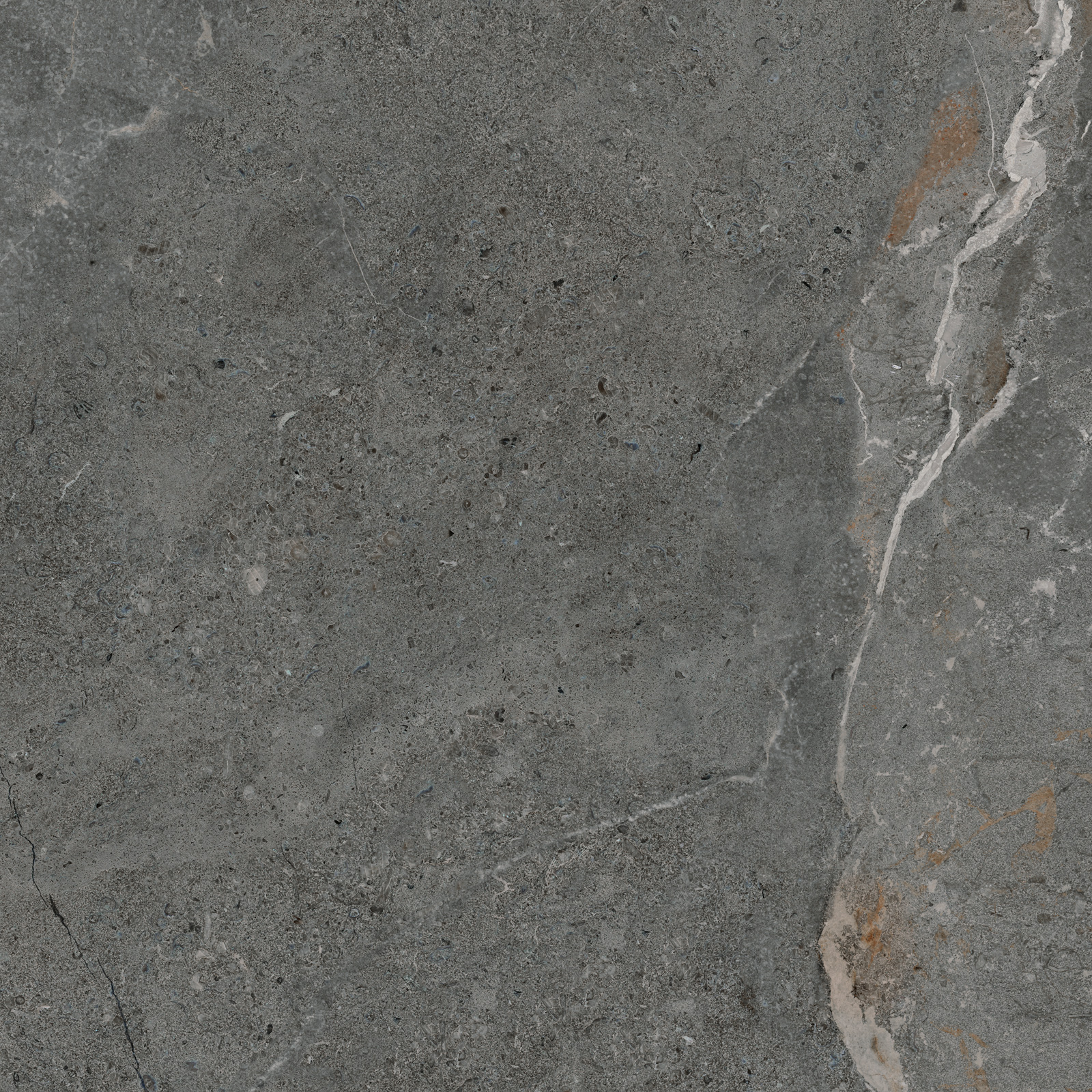 GP6060TIA25M На пол Titanium Graphite матовый 600x600x9.5