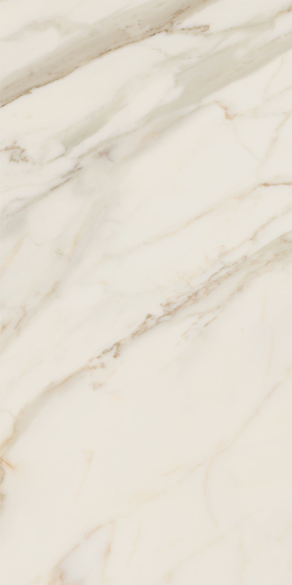 AGB4 На пол Anima Futura Golden White Luc. 120x60 - фото 5