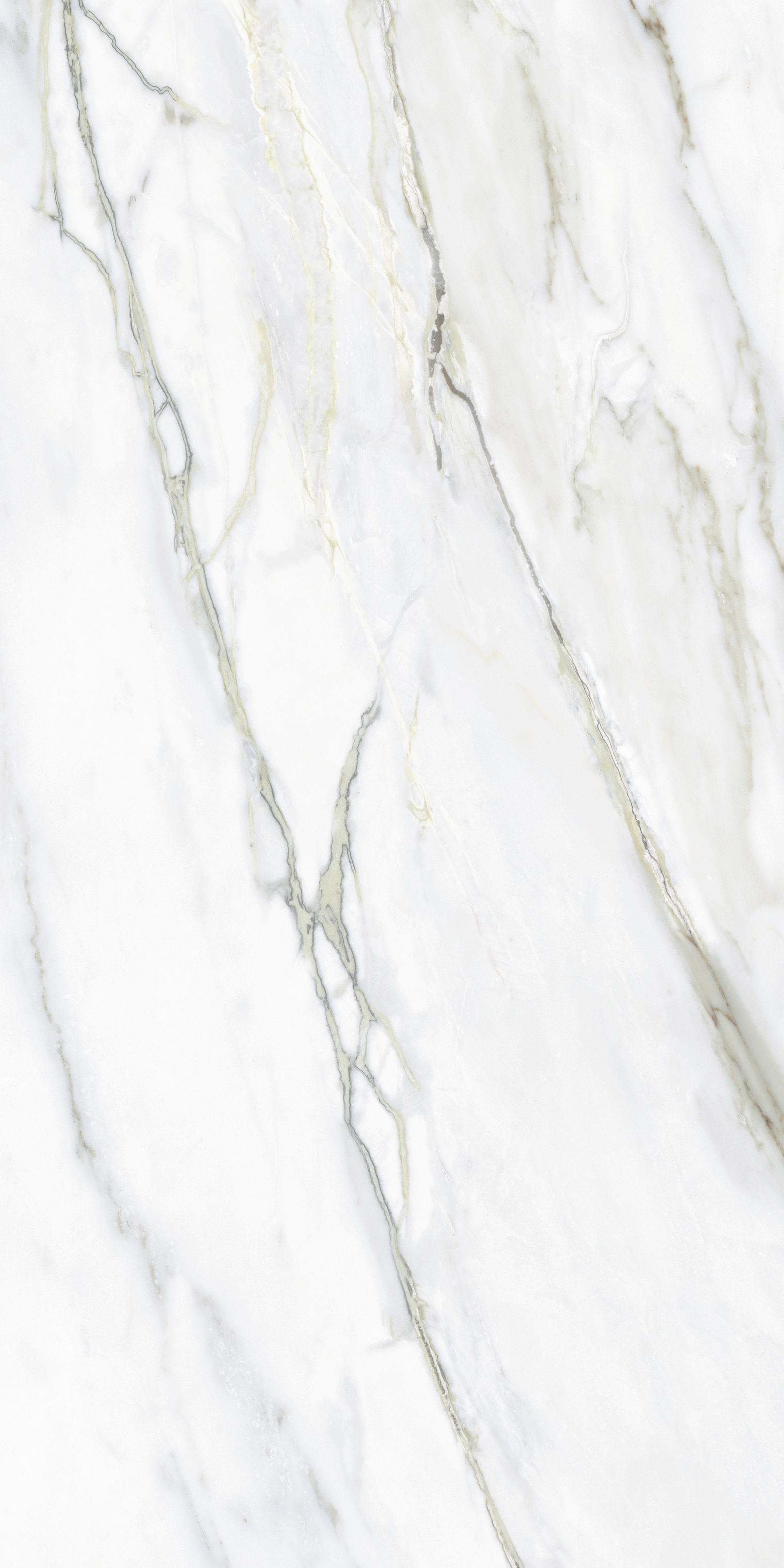 NTT9405DDG На пол Lavarsaz Sitri 60x120 - фото 2