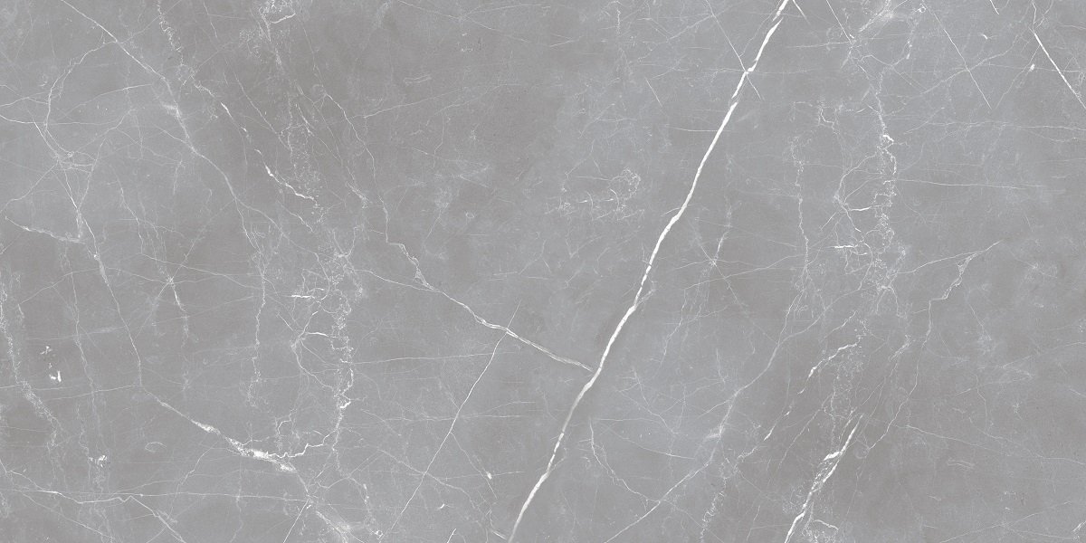 На пол Iran 20mm Arion Gray Dark 61х121 - фото 4