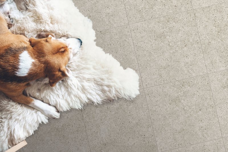 Глобал Тиле Deimos