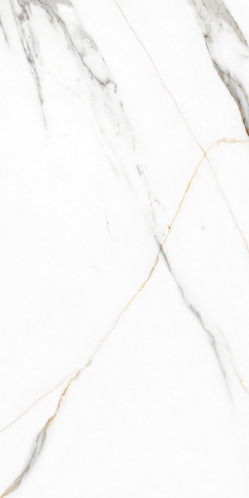 GT120605503PR На пол Angel Statuario Белый PR 60x120 - фото 5